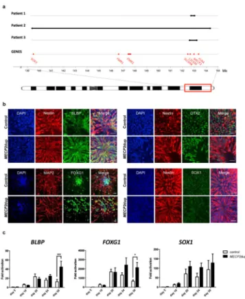 Figure 1. Altered expression of neural progenitor genes in NPCs derived from MECP2dup iPSCs a) Schematic representation of the duplication sizes for each patient (black line)