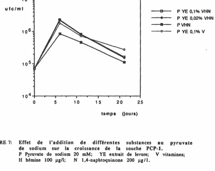 FIGURE  7:  Effet  de  l'addition  de  différentes  substances  au  pyruvate  de  sodium  sur  la  croissance  de  la  souche  PCP-1