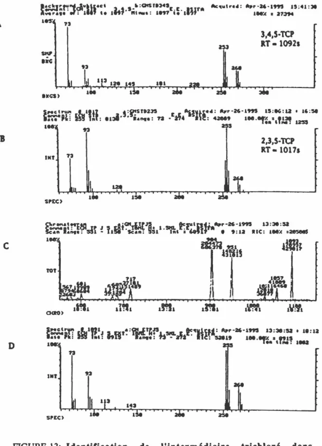 FIGURE  13:  ldentificatioa  de  l'intermédiaire  trichloré  daas  la  vole  de  déchloratioa  du  PCP  par  la  souche  PCP-1  tel  que  déterminé  par  GC-MS