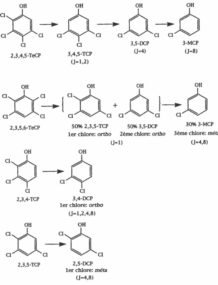 FIGURE 17:  Activité de  déchloration  du 2,3,4,5-TeCP, du 2,3,5,6-TeCP,  du 2,3,4-TCP et du 2,3,5-TCP par  la  souche PCP-1