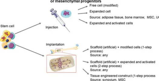 Fig. 2    A depiction of the inject- inject-able and implantinject-able options  for delivery of MSCs and the  potential sources of MSCs  which are appropriate for each  method