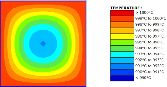Figure 42 shows the temperature distribution for the final time of 180min. 
