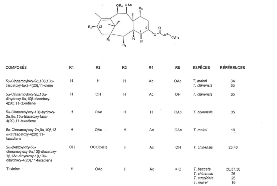 TABLEAU  3: Taxanes possédant un  double lien exocycligue en  C-4(20) et une chaine cinnamoyle  en  C-5 