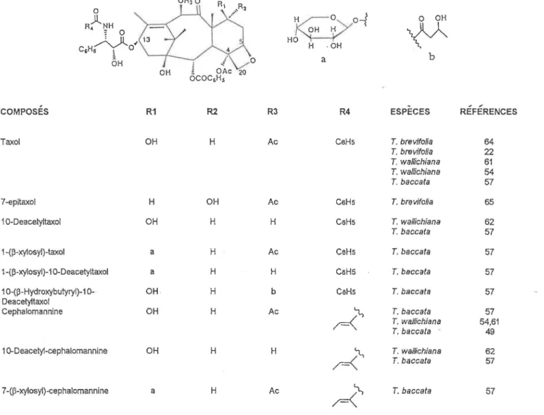 TABLEAU  10: Taxanes  possédant un cycle  oxétane et une chaine latérale en  C-13  OR30  0  A•  )l  NH  ;  0  c,H;yo~  ÔH  0  OH  20  COMPOSES  R1  R2  Taxol  OH  H  7-epitaxol  H  OH  1 0-Deacetyltaxol  OH  H  1-(f3-xy1osyl)-taxol  a  H  1-(p-xylosyl)-1  