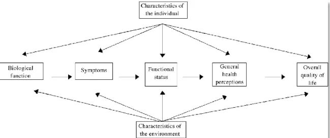 Figure 2 : Le modèle de Ferrans et collaborateur 