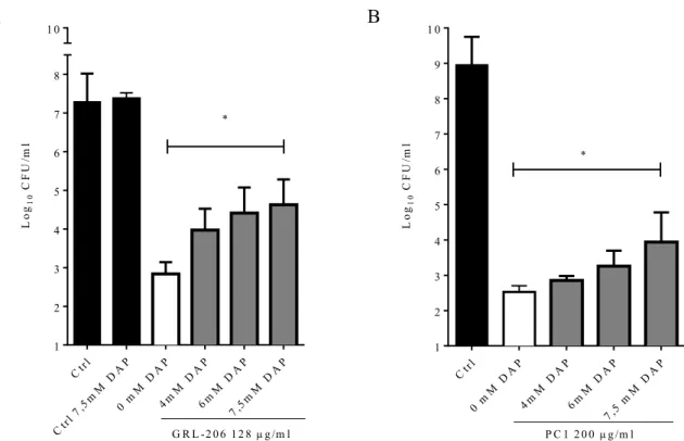 Figure 5. Activity of GRL-206 (A) or PC1 (B) against S. aureus ATCC 29213 supplemented  with 2,6-diaminopurine (DAP) for 10 h