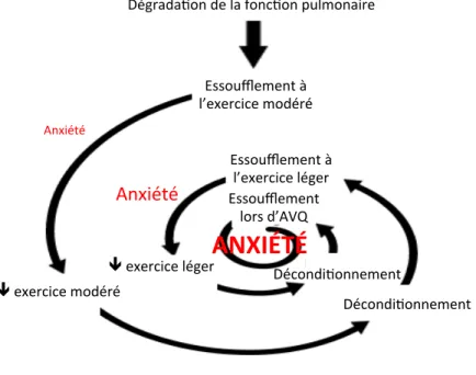 Figure 2 : Spirale de déconditionnement dans la MPOC 