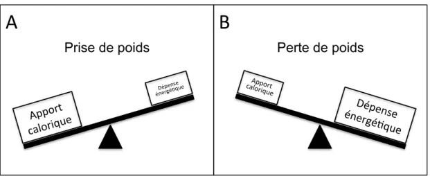 Figure 3 : Principe de la balance énergétique 