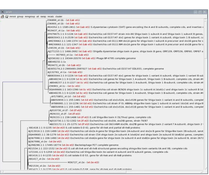 Figure 2. Screenshot of the organization of similar STEC sequences in a tree structure