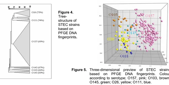 Figure 5.   Three-dimensional preview of STEC strains  based on PFGE DNA fingerprints