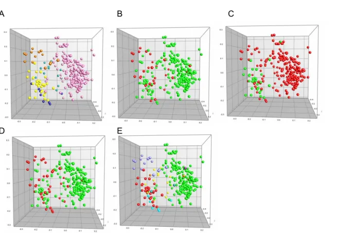 Figure 7.  Three-dimensional view of STEC collection, with indication of katP,  Tir or EspP detection  and FliC type