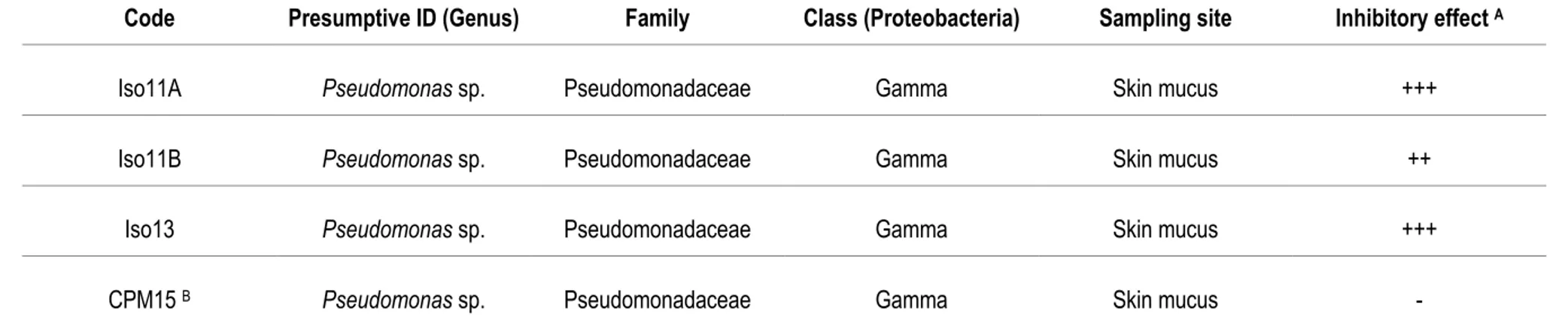 Table 2. Autochthonous bacteria from brook charr exhibiting diffusible inhibitory effect on agar against A