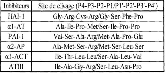 Tableau 2 : Les sites de clivage des inhibiteurs endogènes de protease à serine 