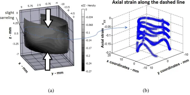 Fig. 8. DIC measurements of the (a) final strain field of Ti6Al4V compression sample  and  the  (b)  evolution  from  the  initial  to  the  final  load  of  the  axial  compressive  strain  distribution along the dashed line of the sample