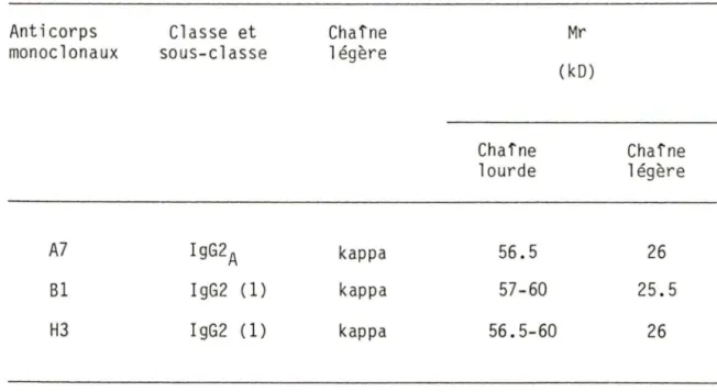 Tableau  3.  Propriétés  physiques  des  anticorps  monoclonaux  dirigés  contre  un  récepteur  de  la  PHA  (gp80)  chez  les  lymphocytes  porcins
