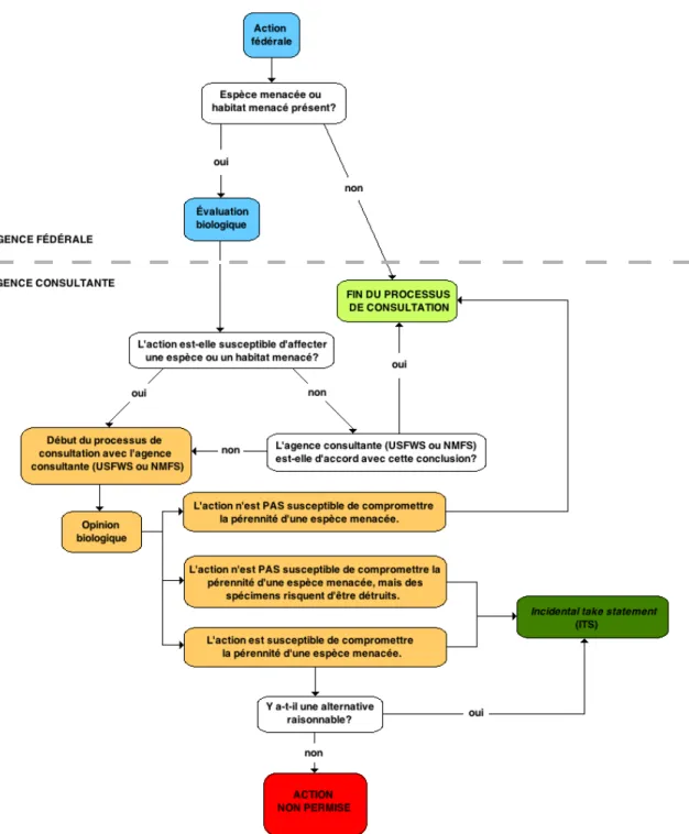 Figure 9 – Le processus de consultation prévu à l’article 7 de l’E.S.A. 