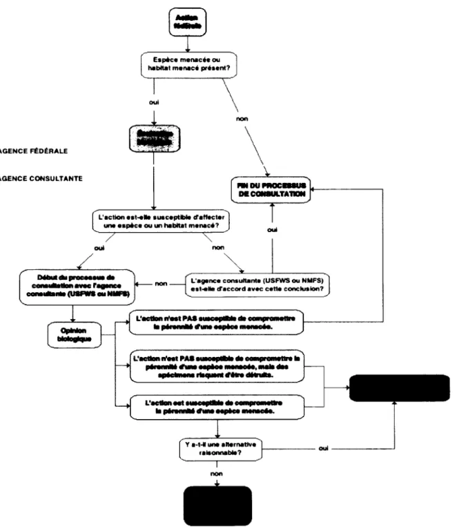 Figure 9 -  Le processus de consultation  prevu a I’article 7 de l’E.S.A.