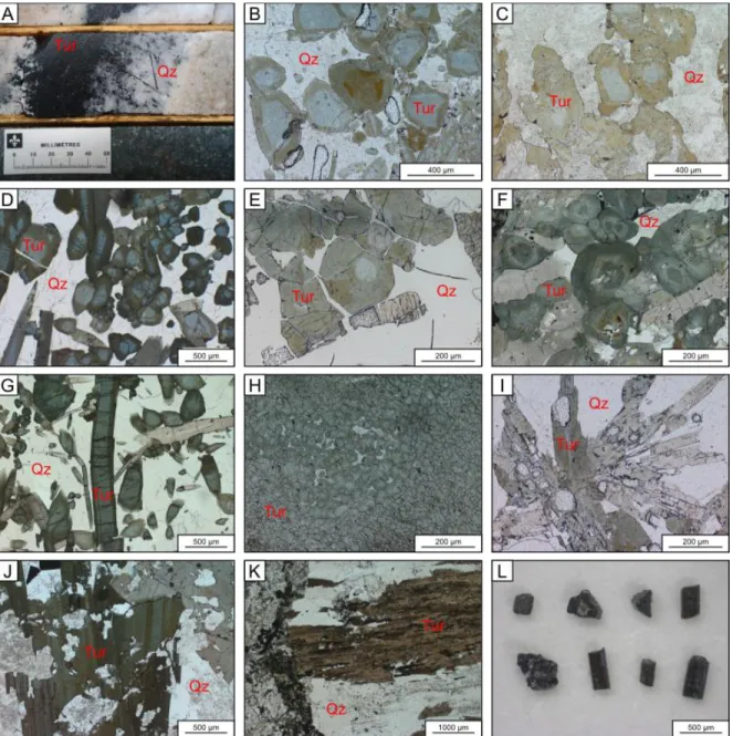 Figure 3: Photographs and microphotographs of tourmaline textures from quartz veins and till samples of the  Val-d’Or district