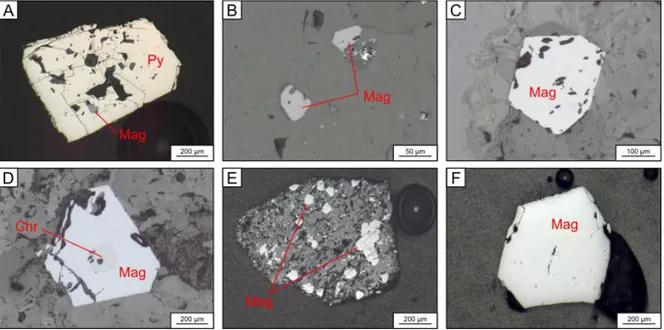 Figure  5:  Photographs  and  microphotographs  of  magnetite  textures  from  quartz  veins,  host  rocks  and  till  samples of the Val-d’Or district