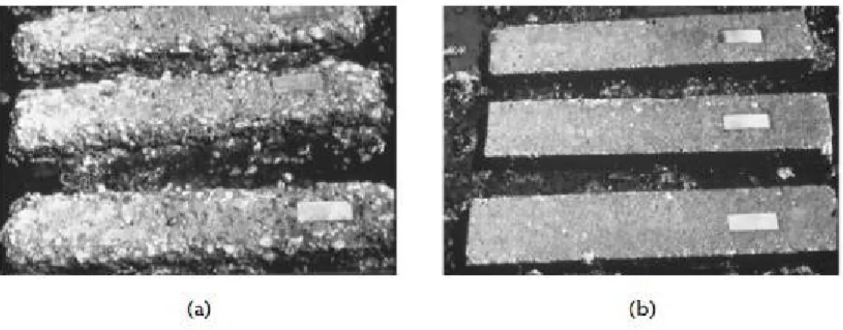 Figure 5 : Exemples de deux rapports E/C exposés à une solution de sulfate (a)0.5 et (b) 0.39 (Edward, 1997)