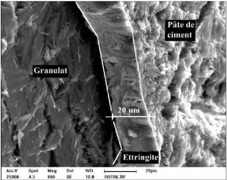 Figure 11 : Ettringite formée entre l'interface ciment-granulat (LCPC, 2010.) 