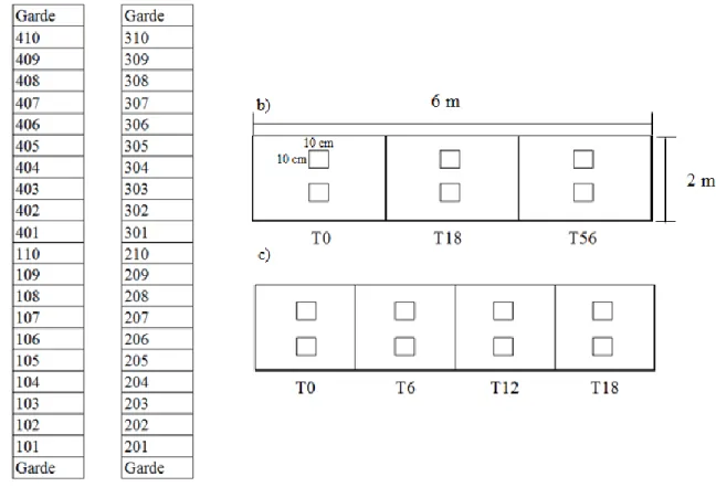 Figure 4. Plan détaillé des parcelles et sous-parcelles, leurs dimensions ainsi que des zones  d’échantillonnage du sol dans chaque parcelle 