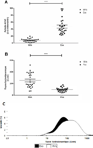 Figure  7.  Comparaison  de  l’activité  AChE  et  de  la  taille  du  rayon  hydrodynamique  entre les deux culots de VEsp purifiées