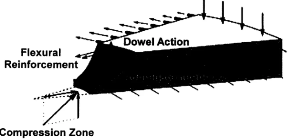 Figure 2.7:  Shear failure mechanism in a cracked RC  slab section without shear reinforcement (Adapted from Muttoni 2008).