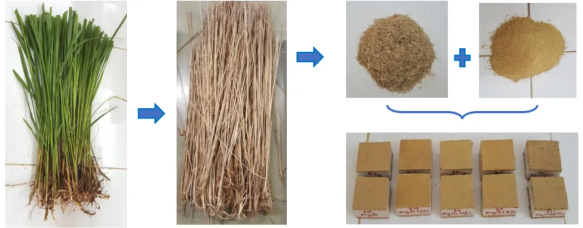 Figure 2 : Etapes de fabrication des échantillons 