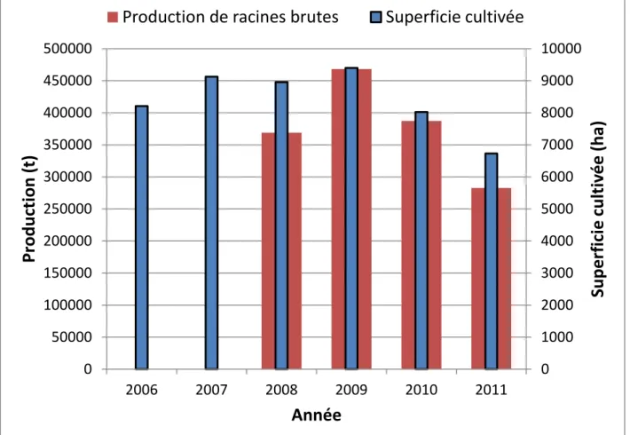 Fig. 1. Chicorée racine à usage industriel: Superficies cultivées et production en Belgique (Anon,  2009, 2011)