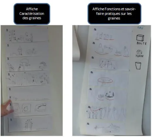 Figure n°2 : Affiches Caractérisation des graines et Fonctions et savoir-faire  pratiques sur les graines de la classe de Mélinda 