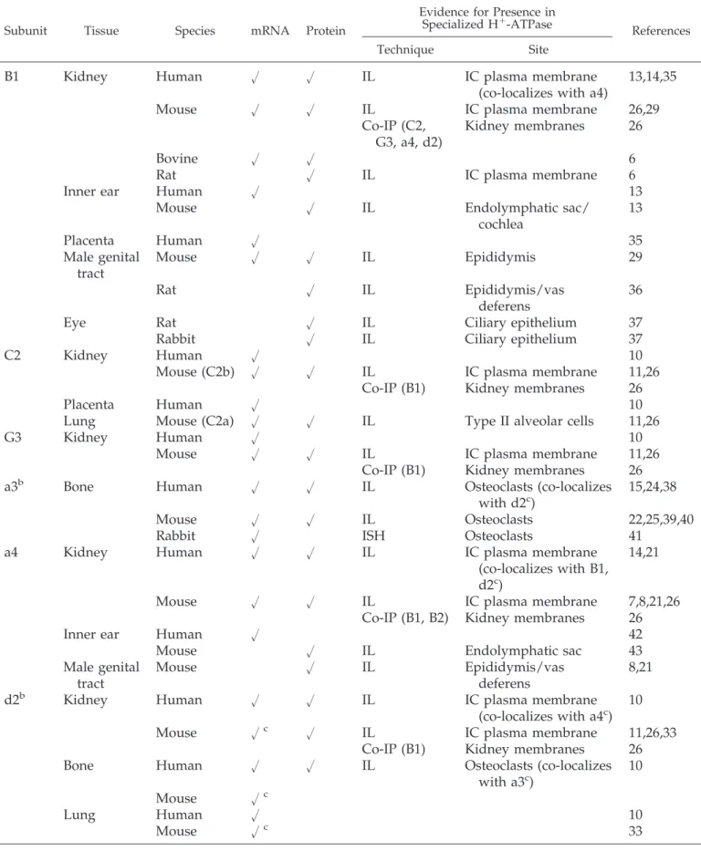 Table 1. Mammalian H ⫹ -ATPase subunits expressed at specialized sites in kidney and bone a