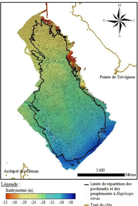 Figure 7 : Limite de répartition des pockmarks et du peuplement à Haploops nirae en baie de Concarneau