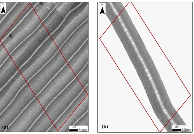 Figure 9 : Imagerie sonar de la zone A en (a) 2003 et (b) 2009. 