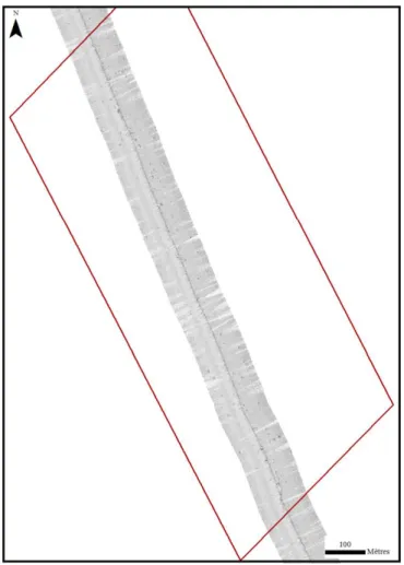 Figure 10 : Imagerie sonar de la zone A en 2014. 