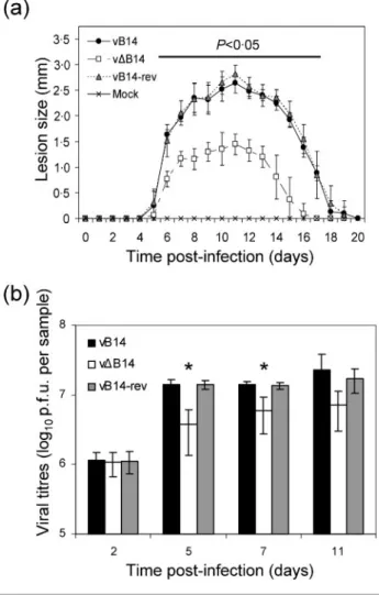 Fig. 6. Virulence assay in murine i.d. model. (a) Female C57BL/6 mice (n = 6) were infected i.d