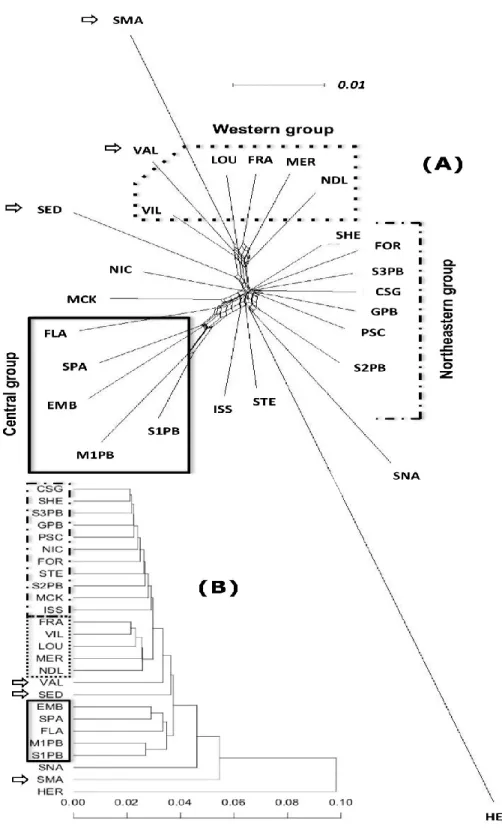 Figure 2 Phylogenetic network (A), using SplitsTree4 version 4.13.1, and phenogram (B), using  UPGMA clustering, based on Nei’s genetic distance calculated on allelic frequencies
