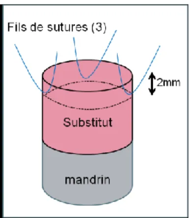 Figure 9 : Formule de l'estimation de la pression d'éclatement (P). 