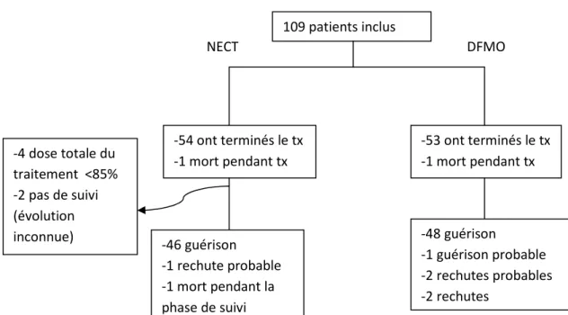 Figure 7 - Répartition de la population Intention-de-traiter modifiée 109 patients inclus -54 ont terminés le tx                                 -1 mort pendant tx  -53 ont terminés le tx  -1 mort pendant tx DFMO NECT -50 guérison                          