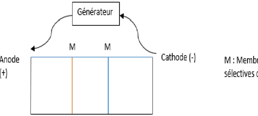 Figure 1: Configuration générale d’un réacteur pour l’électro-activation de solutions  aqueuses 
