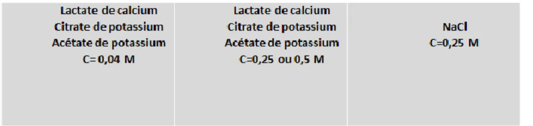 Figure 5 : Emplacement des solutions dans le réacteur et leur concentration (en mol/L) 