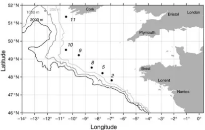 Fig. 1. Map of the study area in the northern Bay of Biscay with stations sampled during May 2007.