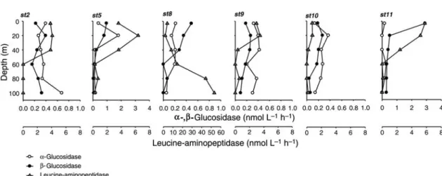 Fig. 4. Depth profiles of extracellular a -glucosidase, b -glucosidase and leucine-aminopeptidase activity (nmol L 21 h 21 ) at substrate concentrations of 1 mmol L 21 for stations sampled in 2007