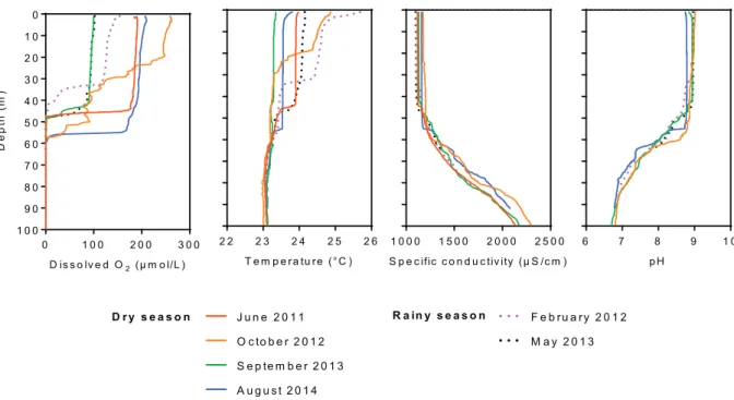 Fig. 2. Vertical proﬁles of dissolved oxygen (μmol/L), temperature (°C), speciﬁc conductivity (μS/cm) and pH for the six ﬁeld campaigns.