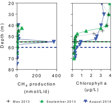 Fig. 5. Vertical proﬁles of CH 4 production (nmol/L/d) and chlorophyll a concentration (μg/L) in May 2013 (cross +), September 2013 (triangle Δ) and August 2014 (inverted triangle ∇)