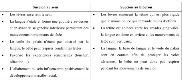 Tableau 1 : Différenciation succion au sein/succion au biberon selon Thirion (2004) 