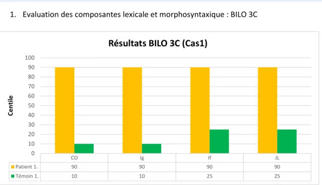 Figure 3 : Présentation des résultats BILO 3C (Cas1) 