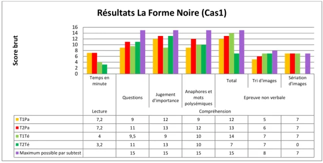 Figure 5 : Présentation des résultats La Forme Noire (Cas1) 