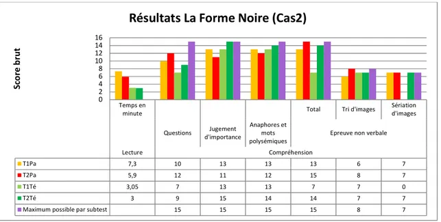 Figure 8 : Présentation des résultats La Forme Noire (Cas2) 