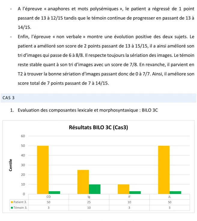 Figure 9 : Présentation des résultats BILO 3C (Cas3) 